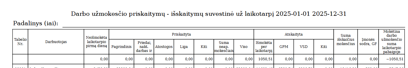 Example of an empty row in the payroll report